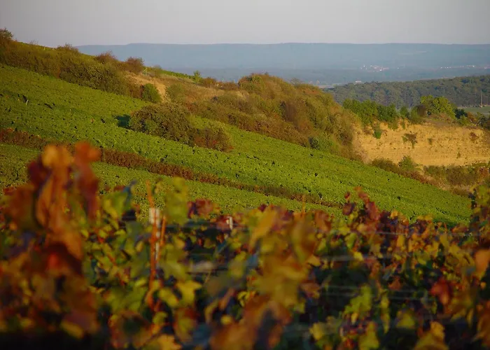 Szálloda Akzent Am Bach Dettelbach